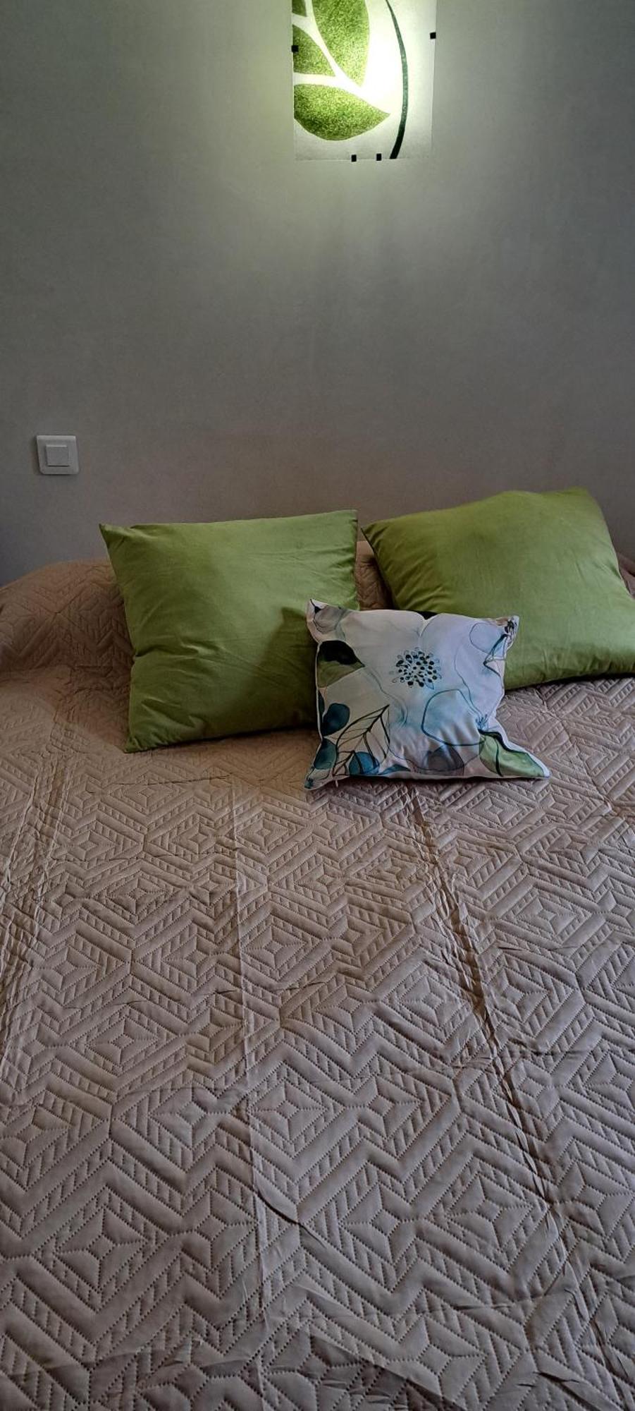 Appartamento Chez Maxime Fraissinet-de-Fourques Esterno foto